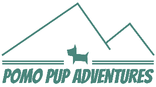 PoMo Pup Adventures